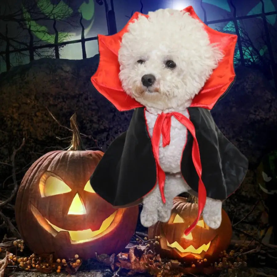 Funny Pet Upright Clothes