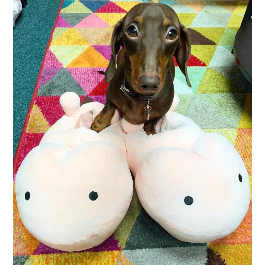 PeePee The Toy Slippers