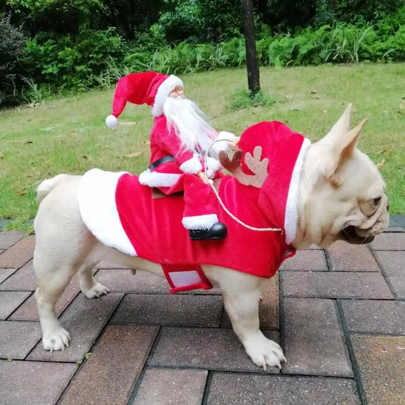 Santa Claus Riding Dog Funny Costumes