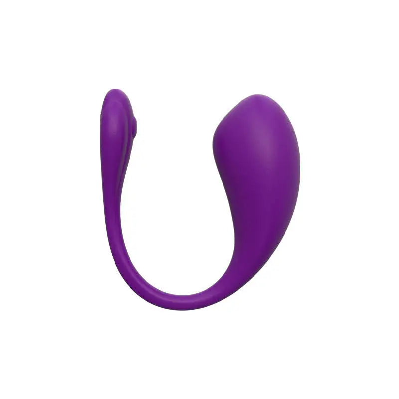 Smart Egg Remote Control Vibrator - Purple