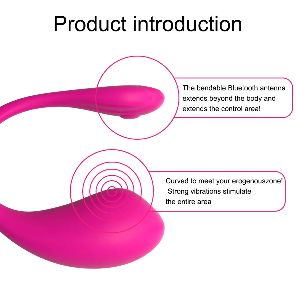 Smart Egg Fernbedienungsvibrator
