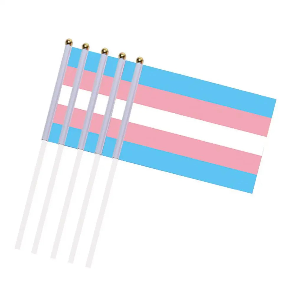 10PCS/Pack Gay Pride Flags Easy To Hold Mini Small Rainbow