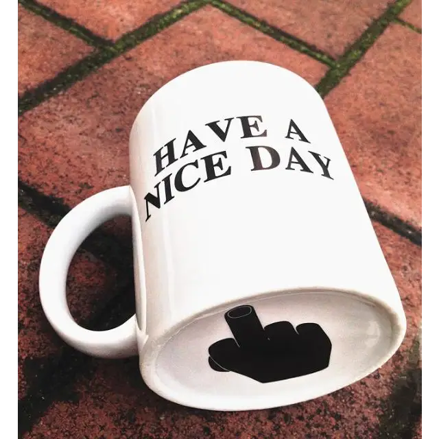 Have a Nice Day Coffee Mug Middle Finger Funny Cup - White