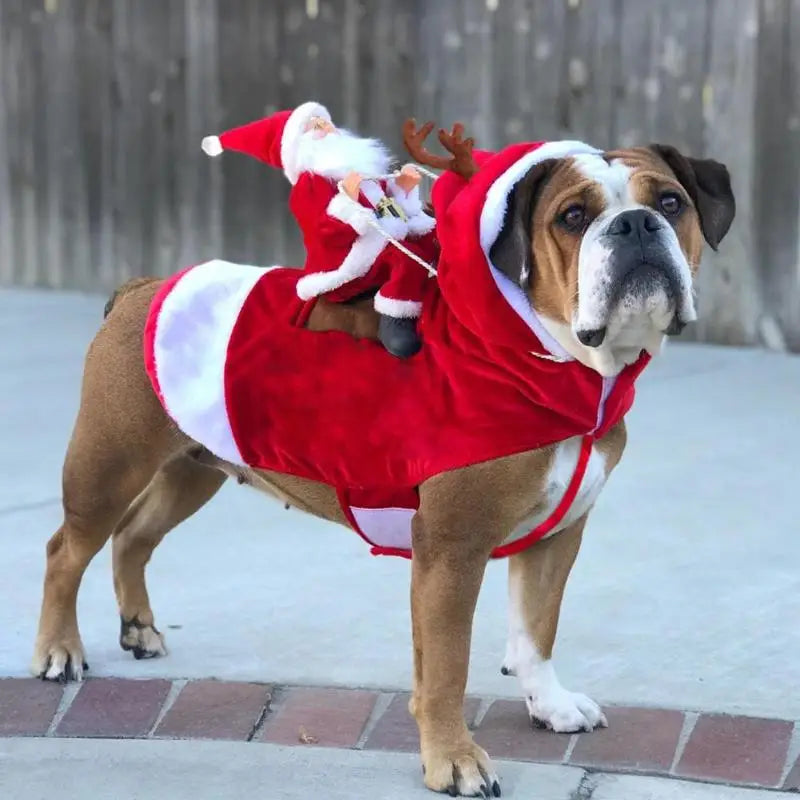 Santa Claus Riding Dog Funny Costumes
