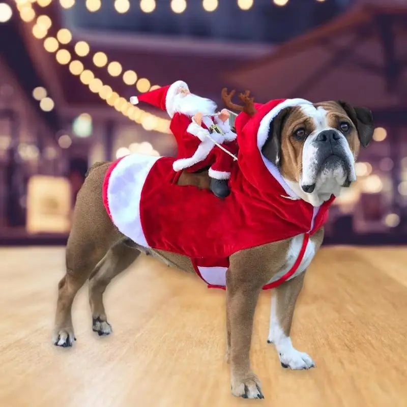Santa Claus Riding Dog Funny Costumes