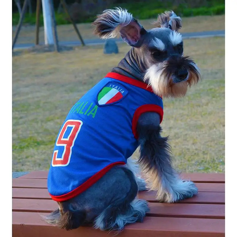 World Cup Soccer Jersey For Dog